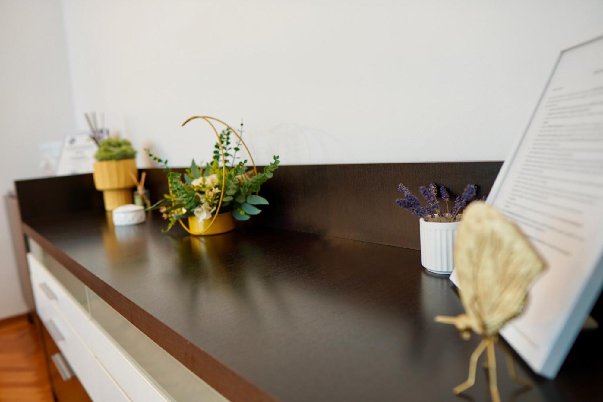 בראשוב Apartament Aleea Minerva מראה חיצוני תמונה