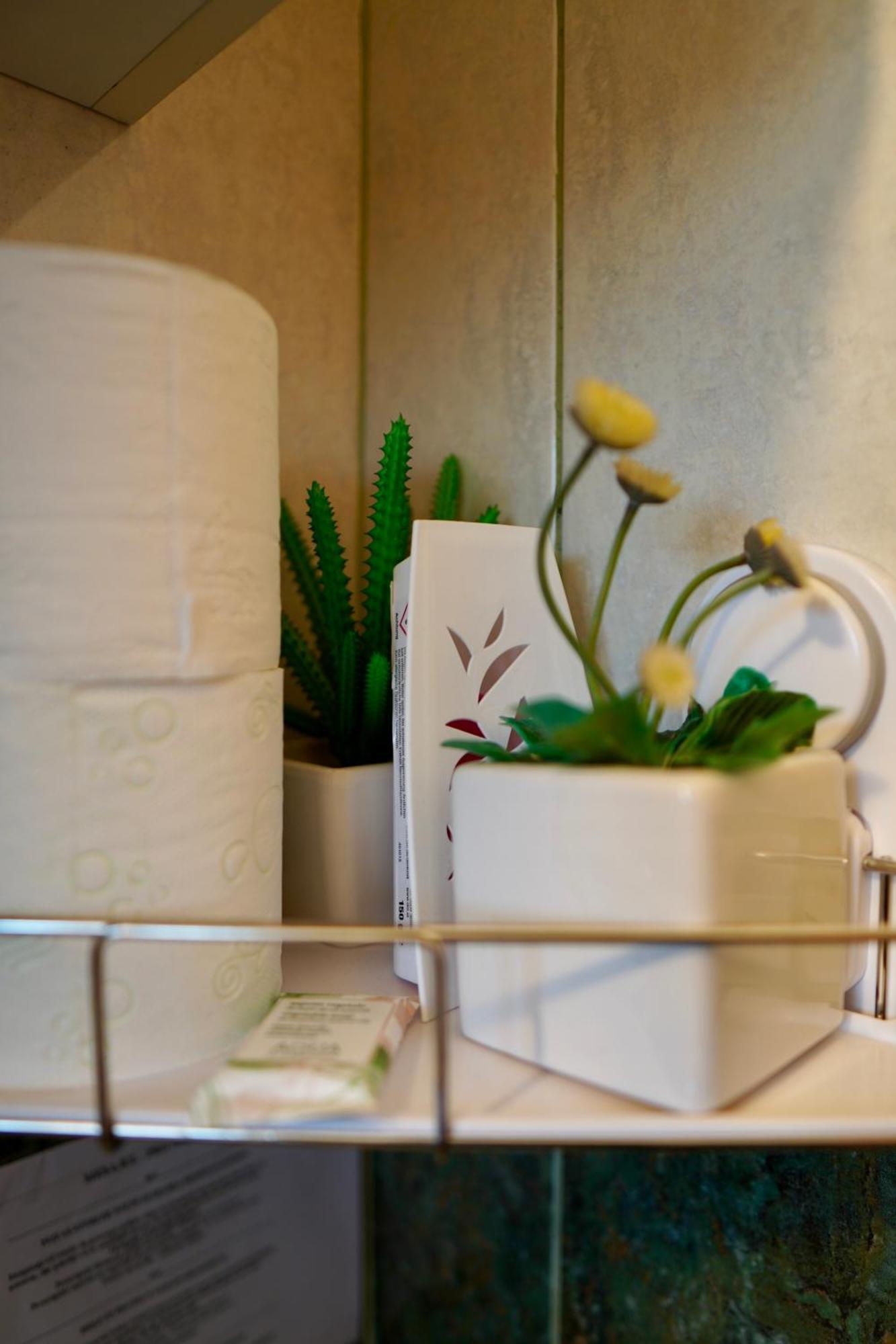 בראשוב Apartament Aleea Minerva מראה חיצוני תמונה